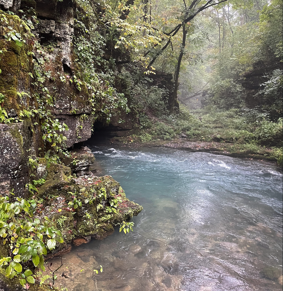 Eleven Point River Float Trip Guide: Greer Spring, Floats & Outfitters